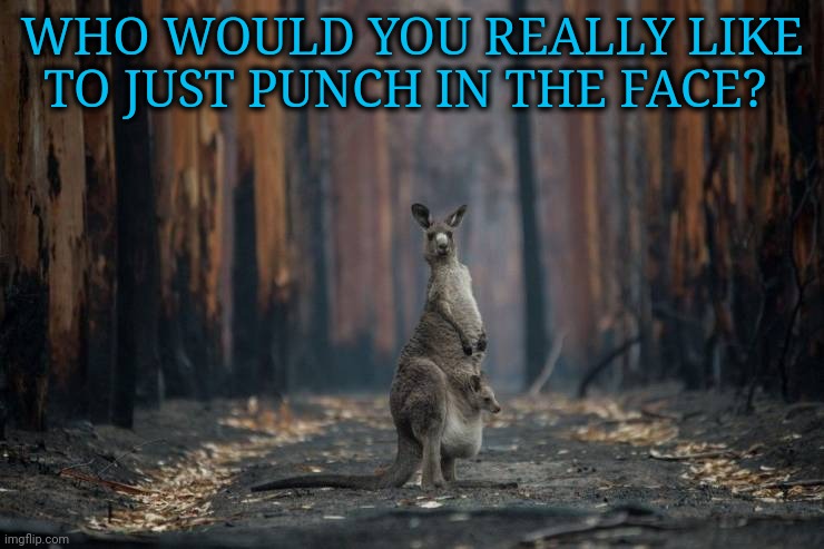 Not advocating violence...but some people inspire it.... | WHO WOULD YOU REALLY LIKE TO JUST PUNCH IN THE FACE? | image tagged in memes,roo,dark humour | made w/ Imgflip meme maker