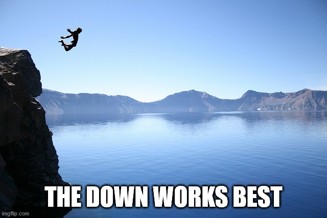 Jump off Cliff | THE DOWN WORKS BEST | image tagged in jump off cliff | made w/ Imgflip meme maker