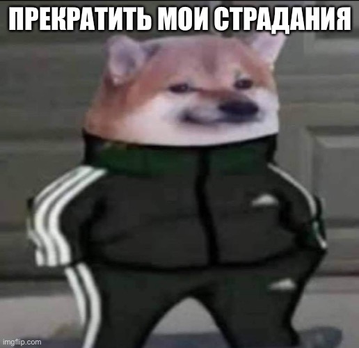 Slav doge | ПРЕКРАТИТЬ МОИ СТРАДАНИЯ | image tagged in slav doge | made w/ Imgflip meme maker