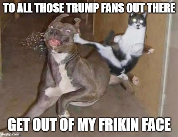GET REKT | TO ALL THOSE TRUMP FANS OUT THERE GET OUT OF MY FRIKIN FACE | image tagged in get rekt | made w/ Imgflip meme maker