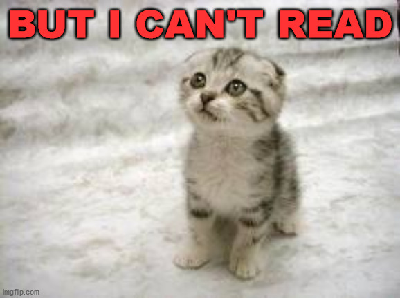 Sad Cat Meme | BUT I CAN'T READ | image tagged in memes,sad cat | made w/ Imgflip meme maker