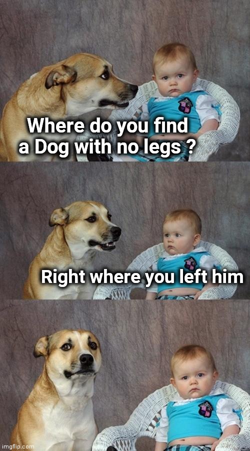Dad Joke Dog Meme | Where do you find a Dog with no legs ? Right where you left him | image tagged in memes,dad joke dog | made w/ Imgflip meme maker
