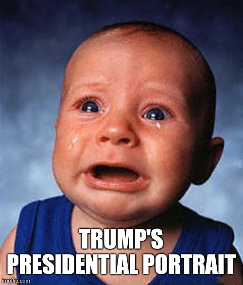 Trump is an ass | TRUMP'S PRESIDENTIAL PORTRAIT | image tagged in crying baby,donald trump | made w/ Imgflip meme maker