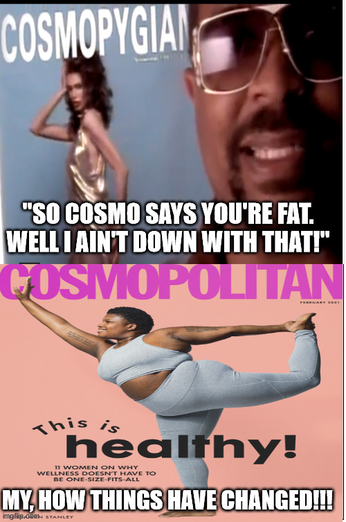 Baby got back (perhaps a little too much) | "SO COSMO SAYS YOU'RE FAT.
WELL I AIN'T DOWN WITH THAT!"; MY, HOW THINGS HAVE CHANGED!!! | image tagged in sir mix alot,cosmopolitan,funny memes | made w/ Imgflip meme maker