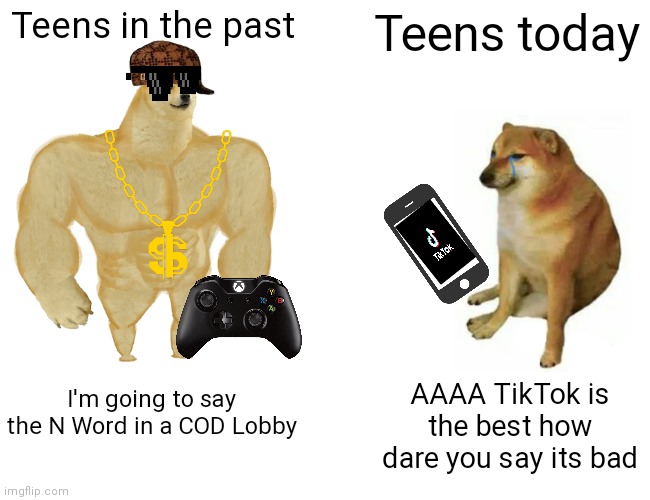 We should become the teens in the past | Teens in the past; Teens today; I'm going to say the N Word in a COD Lobby; AAAA TikTok is the best how dare you say its bad | image tagged in memes,buff doge vs cheems,fun | made w/ Imgflip meme maker