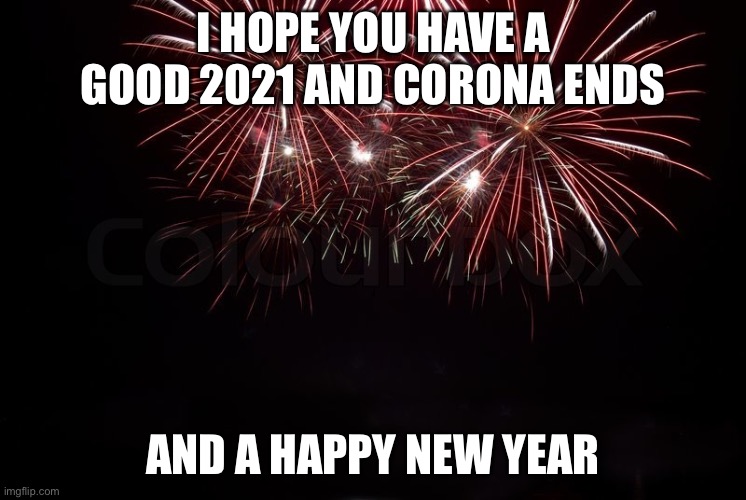 Happy new year!!! | I HOPE YOU HAVE A GOOD 2021 AND CORONA ENDS; AND A HAPPY NEW YEAR | image tagged in happy new year,happy,new,year,2021 | made w/ Imgflip meme maker