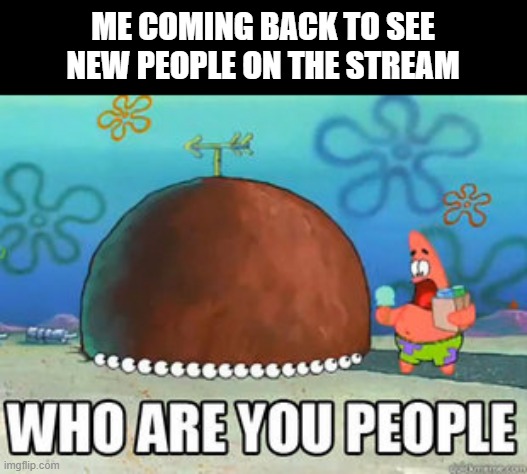 we haven't had actual people join in a long time. | ME COMING BACK TO SEE NEW PEOPLE ON THE STREAM | image tagged in who are you people | made w/ Imgflip meme maker