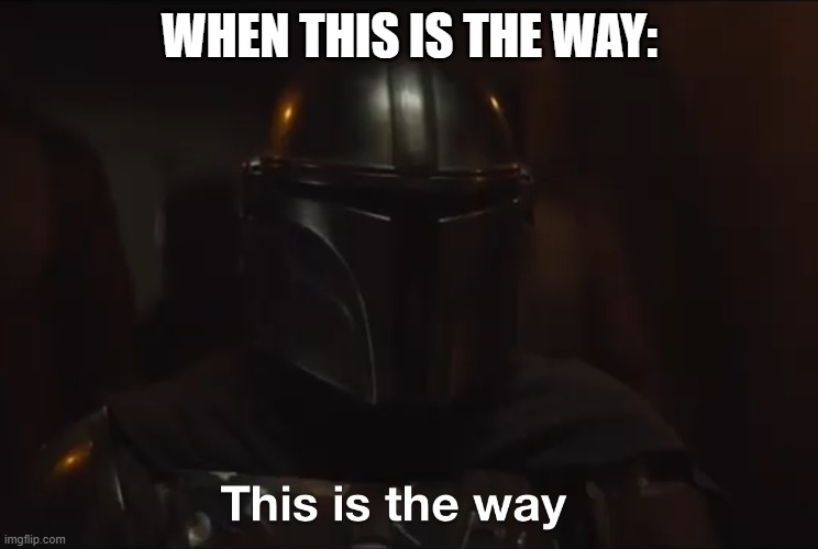 This is the way | WHEN THIS IS THE WAY: | image tagged in this is the way | made w/ Imgflip meme maker