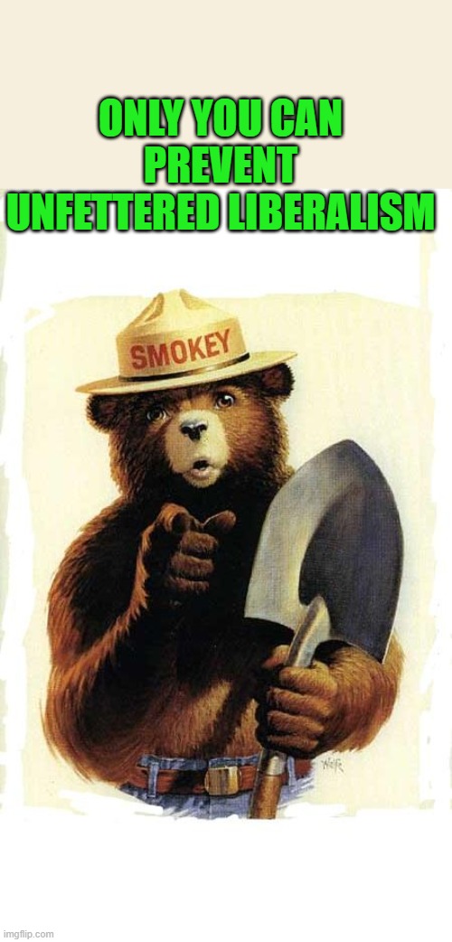 Smokey The Bear | ONLY YOU CAN PREVENT UNFETTERED LIBERALISM | image tagged in smokey the bear | made w/ Imgflip meme maker