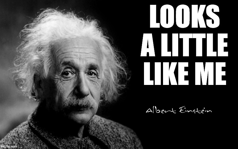 Albert Einstein | LOOKS A LITTLE LIKE ME | image tagged in albert einstein | made w/ Imgflip meme maker