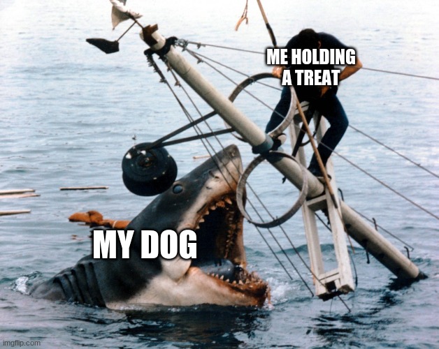 dogs have huge teeth | ME HOLDING A TREAT; MY DOG | image tagged in jaws | made w/ Imgflip meme maker