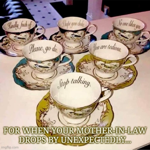Mother-in-law | FOR WHEN YOUR MOTHER-IN-LAW DROPS BY UNEXPECTEDLY... | image tagged in mother-in-law jokes | made w/ Imgflip meme maker