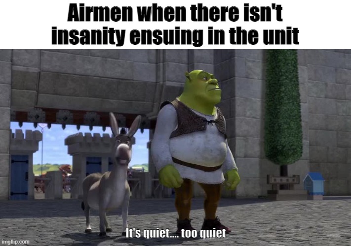 Air Force Airmen Skepticism | Airmen when there isn't insanity ensuing in the unit; It's quiet.... too quiet | image tagged in shrek,quiet | made w/ Imgflip meme maker