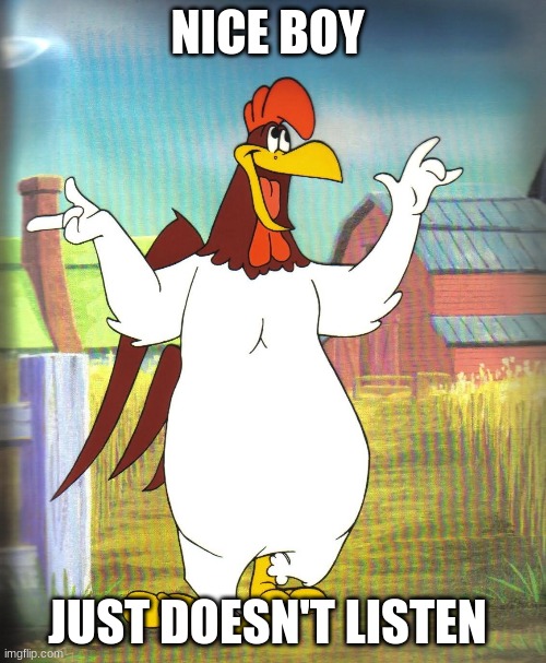 Foghorn Leghorn  | NICE BOY JUST DOESN'T LISTEN | image tagged in foghorn leghorn | made w/ Imgflip meme maker