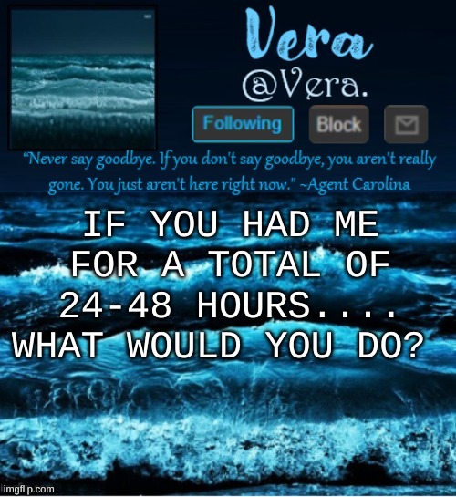 a n n o u n c e r e v i s e d | IF YOU HAD ME FOR A TOTAL OF 24-48 HOURS.... WHAT WOULD YOU DO? | image tagged in a n n o u n c e r e v i s e d | made w/ Imgflip meme maker