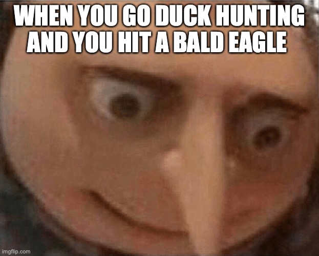 uh oh Gru | WHEN YOU GO DUCK HUNTING AND YOU HIT A BALD EAGLE | image tagged in uh oh gru | made w/ Imgflip meme maker
