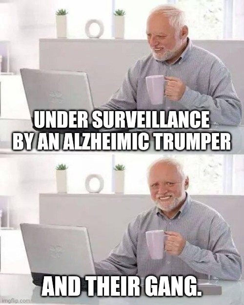 y'all may want to protest the red states. | UNDER SURVEILLANCE BY AN ALZHEIMIC TRUMPER; AND THEIR GANG. | image tagged in memes,hide the pain harold | made w/ Imgflip meme maker