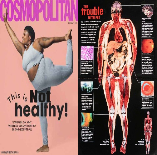 This is NOT healthy |  Not | image tagged in cosmo,not healthy,this is healthy | made w/ Imgflip meme maker