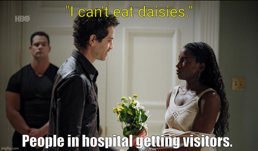 Hospital food sucks, give me a burger or pizza or something. | "I can't eat daisies."; People in hospital getting visitors. | image tagged in memes | made w/ Imgflip meme maker