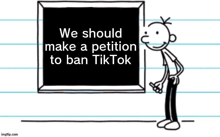 #bantiktok | We should make a petition to ban TikTok | image tagged in wimpy kid chalkboard,ban,tiktok | made w/ Imgflip meme maker