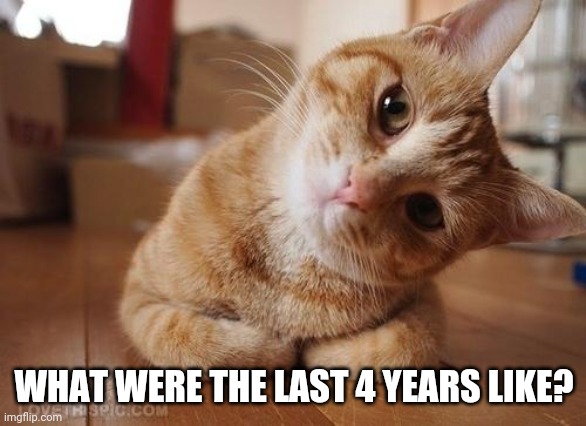 Curious Question Cat | WHAT WERE THE LAST 4 YEARS LIKE? | image tagged in curious question cat | made w/ Imgflip meme maker