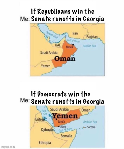 [Georgia the state, not the country] | If Republicans win the Senate runoffs in Georgia; If Democrats win the Senate runoffs in Georgia | image tagged in yemen oman fixed textboxes | made w/ Imgflip meme maker