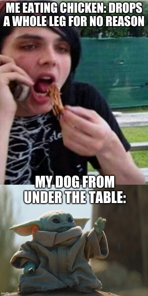 The force is strong with this one | ME EATING CHICKEN: DROPS A WHOLE LEG FOR NO REASON; MY DOG FROM UNDER THE TABLE: | image tagged in killjoysmakesomenoise,grogo,baby yoda,chicken,dog,dogs | made w/ Imgflip meme maker