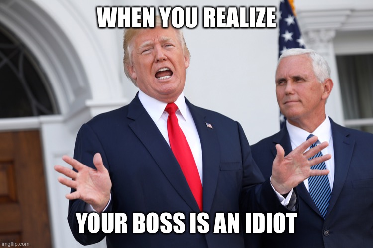 Trump and Pence | WHEN YOU REALIZE; YOUR BOSS IS AN IDIOT | image tagged in donald trump,mike pence | made w/ Imgflip meme maker