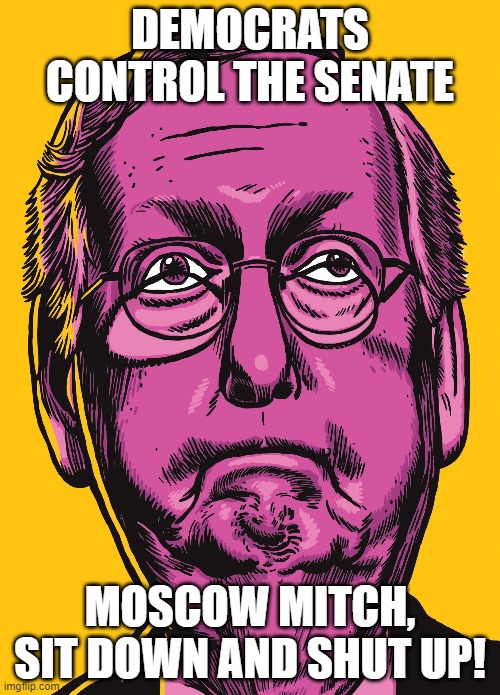 Down Goes the Grim Reaper | DEMOCRATS CONTROL THE SENATE; MOSCOW MITCH, SIT DOWN AND SHUT UP! | image tagged in democrats,democracy,democratic party,senate,moscow mitch,mitch mcconnell | made w/ Imgflip meme maker