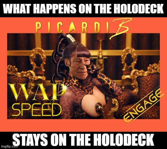 captain's log | WHAT HAPPENS ON THE HOLODECK; STAYS ON THE HOLODECK | image tagged in star trek,picard,cardi b,wap,engage,patrick stewart | made w/ Imgflip meme maker