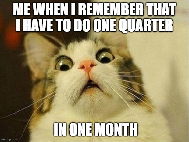 ;-; | ME WHEN I REMEMBER THAT I HAVE TO DO ONE QUARTER; IN ONE MONTH | image tagged in memes,scared cat | made w/ Imgflip meme maker