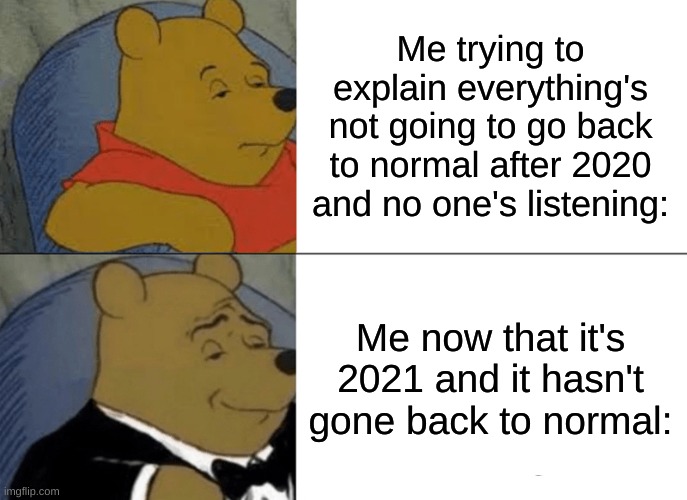 Tuxedo Winnie The Pooh | Me trying to explain everything's not going to go back to normal after 2020 and no one's listening:; Me now that it's 2021 and it hasn't gone back to normal: | image tagged in memes,tuxedo winnie the pooh | made w/ Imgflip meme maker