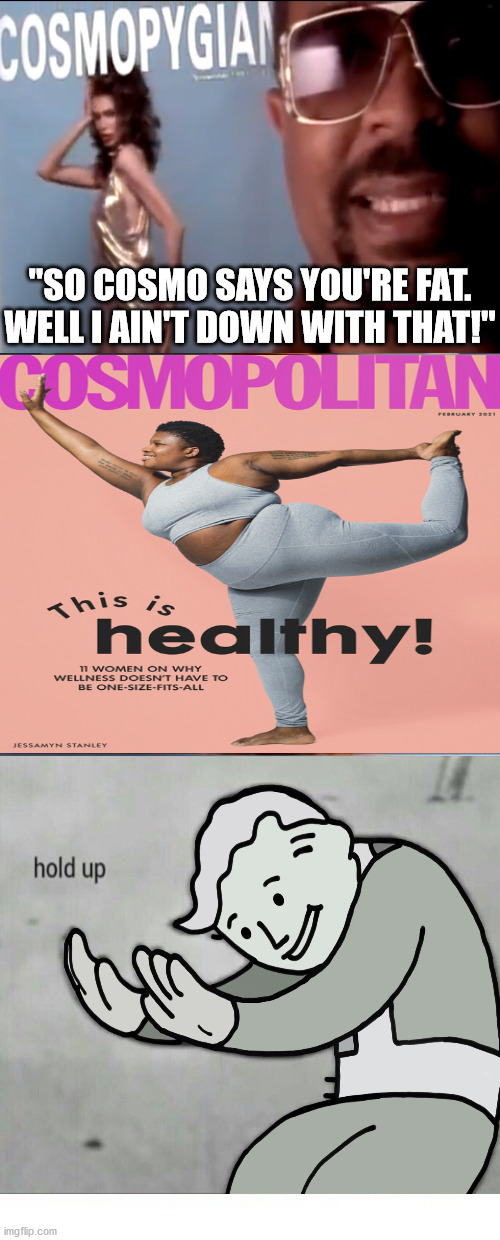 baby got back - cosmo (version 2) |  "SO COSMO SAYS YOU'RE FAT.
WELL I AIN'T DOWN WITH THAT!" | image tagged in sir mix alot,cosmopolitan magazine,cosmo | made w/ Imgflip meme maker