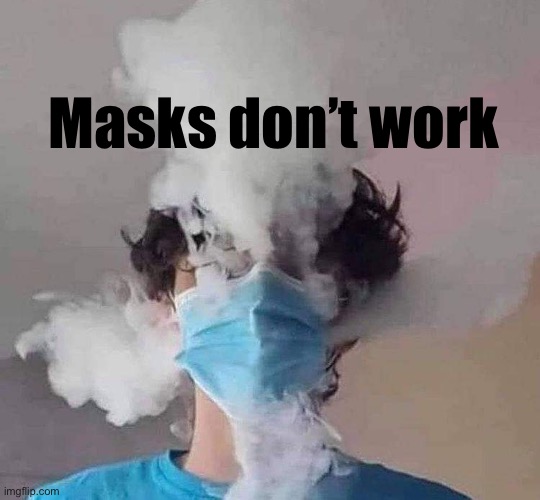 Period | Masks don’t work | image tagged in face mask,covid-19 | made w/ Imgflip meme maker