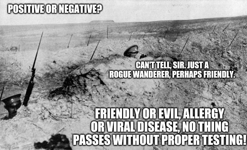 Covid testing, quarantine, trenches, stay back. | POSITIVE OR NEGATIVE? CAN'T TELL, SIR. JUST A ROGUE WANDERER, PERHAPS FRIENDLY. FRIENDLY OR EVIL, ALLERGY OR VIRAL DISEASE, NO THING PASSES WITHOUT PROPER TESTING! | image tagged in covid quarantine trenches stay back | made w/ Imgflip meme maker