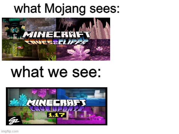 What memers see... | what Mojang sees:; what we see: | image tagged in blank white template | made w/ Imgflip meme maker