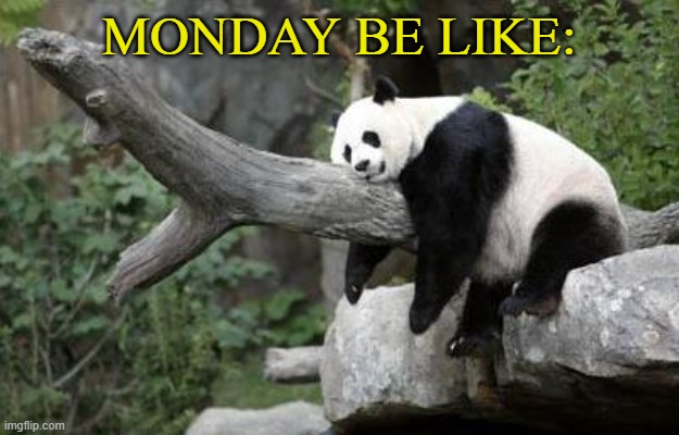 lazy panda | MONDAY BE LIKE: | image tagged in lazy panda | made w/ Imgflip meme maker