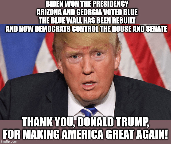 Trump Makes America Great Again! | BIDEN WON THE PRESIDENCY
ARIZONA AND GEORGIA VOTED BLUE
THE BLUE WALL HAS BEEN REBUILT
AND NOW DEMOCRATS CONTROL THE HOUSE AND SENATE; THANK YOU, DONALD TRUMP, FOR MAKING AMERICA GREAT AGAIN! | image tagged in trump,democrats,georgia,senate,warnock,ossoff | made w/ Imgflip meme maker