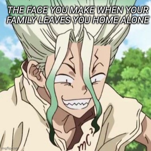 It's go time | THE FACE YOU MAKE WHEN YOUR FAMILY LEAVES YOU HOME ALONE | image tagged in dr stone,funny memes,anime,dank memes | made w/ Imgflip meme maker