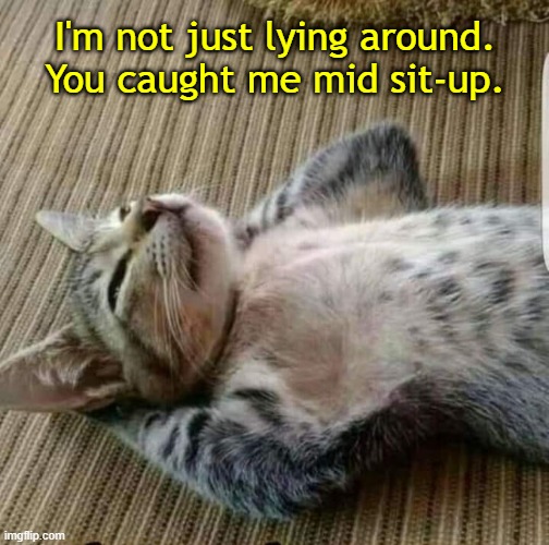 Timing is Everything | I'm not just lying around.
You caught me mid sit-up. | image tagged in funny cats,cats,lazy cat,relaxed cat | made w/ Imgflip meme maker