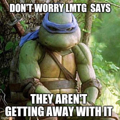 Boom there goes the house of cards | DON'T WORRY LMTG  SAYS; THEY AREN'T GETTING AWAY WITH IT | image tagged in sad ninja turtle | made w/ Imgflip meme maker