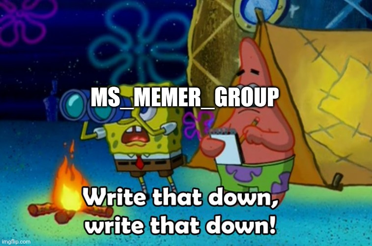 write that down | MS_MEMER_GROUP | image tagged in write that down | made w/ Imgflip meme maker