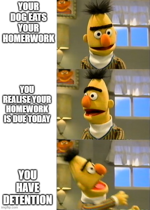 new meme | YOUR DOG EATS YOUR HOMERWORK; YOU REALISE YOUR HOMEWORK IS DUE TODAY; YOU HAVE DETENTION | image tagged in bert angry | made w/ Imgflip meme maker