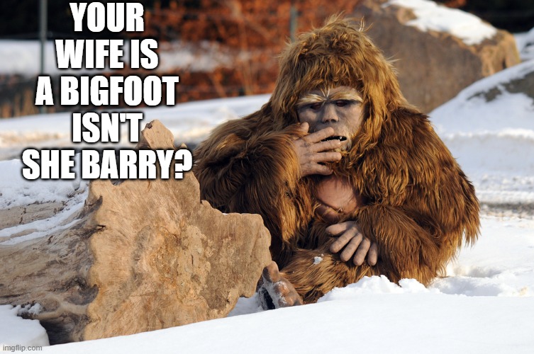 YOUR WIFE IS A BIGFOOT ISN'T SHE BARRY? | made w/ Imgflip meme maker