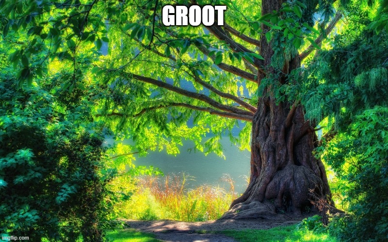 GROOT | image tagged in groot,tree | made w/ Imgflip meme maker