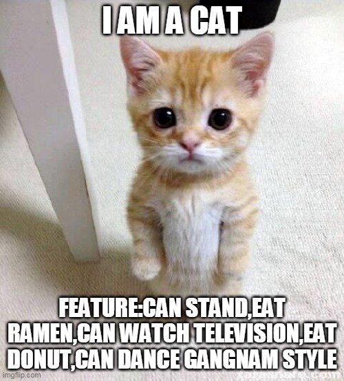 Standing Cat Feature | I AM A CAT; FEATURE:CAN STAND,EAT RAMEN,CAN WATCH TELEVISION,EAT DONUT,CAN DANCE GANGNAM STYLE | image tagged in memes,cute cat | made w/ Imgflip meme maker
