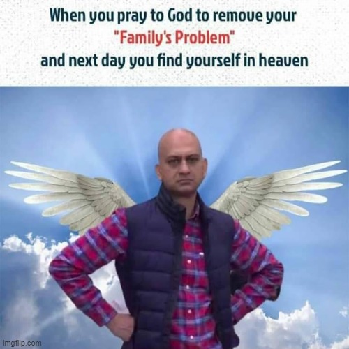 Mission Accomplished | image tagged in cricket,heaven,problems,wings,dank memes | made w/ Imgflip meme maker