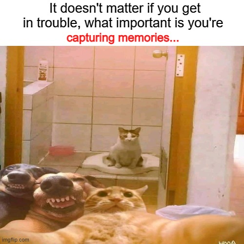 I'm waiting for his birthday to post this and tag his friends... | It doesn't matter if you get in trouble, what important is you're; capturing memories... | image tagged in dank memes,funny memes,poop,funny cats,funny dogs | made w/ Imgflip meme maker