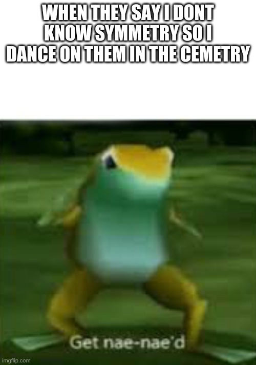 meep if u dont get it chect the comments | WHEN THEY SAY I DONT KNOW SYMMETRY SO I DANCE ON THEM IN THE CEMETRY | image tagged in get nae nae'd | made w/ Imgflip meme maker