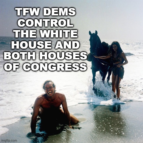 TFW Dems control the White House and both houses of Congress | TFW DEMS CONTROL THE WHITE HOUSE AND BOTH HOUSES OF CONGRESS | image tagged in planet of the apes | made w/ Imgflip meme maker